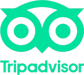 tripadvisor icon green