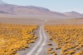 How To Get To Uyuni | Step By Step Guide